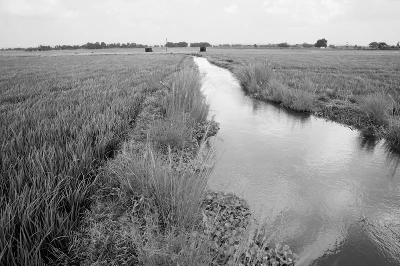 Traditional science for irrigation in India - Pyne (channel) carrying water away from an Ahar to agricultural fields in Bihar